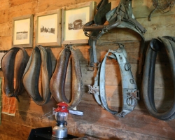 Stable and livery exhibit